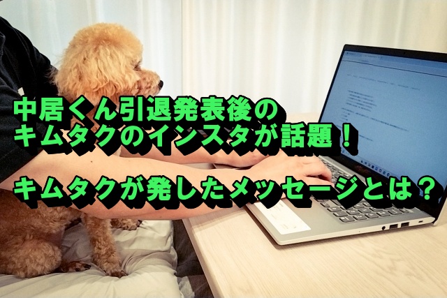 パソコンをご主人と見ているトイプードル