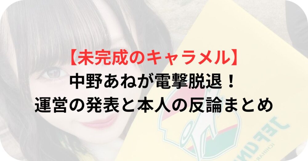 中野あねの写真